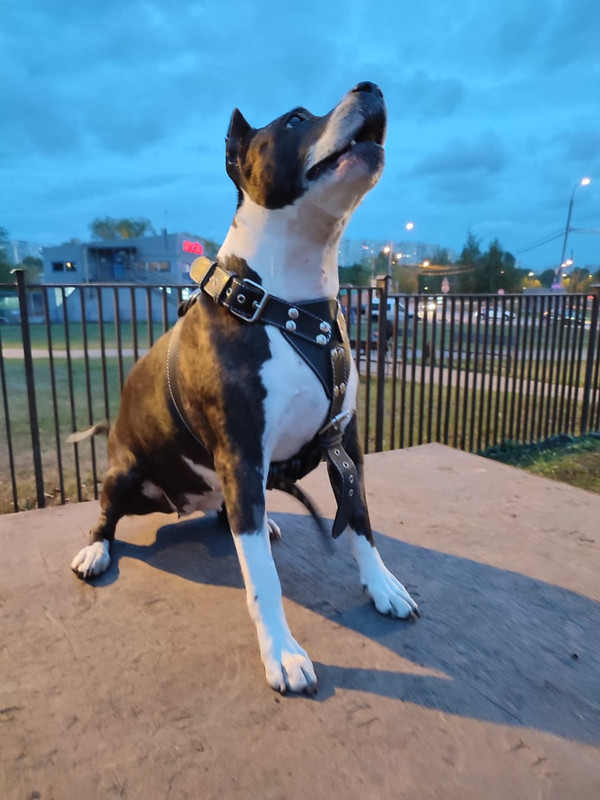 AFFCE690-A1D7-48C5-8ECE-640F3F32B1CC