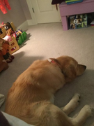 image_2023-02-02_225908352