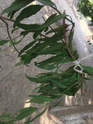 B7518F57-045C-4364-B332-AE5A003C4A8A