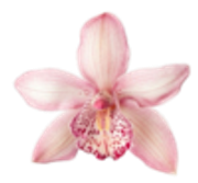 tumblr-350e8f2bb5234d1097349c6c048ae0ab-6be1b6b4-250