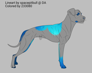 Untitled167_20200517205344