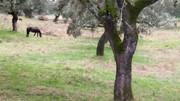 IMG-20260103-104327