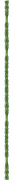 Divider-640x50-2-(2)