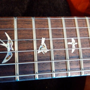 IMG_20150602_095454_zpssvv5dtob