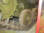 IMG-3656