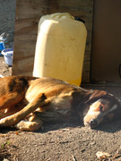 ADP System Pancharevo 2009 (44)