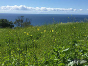 BBG&B2ItAllStartedWhenPics - 10