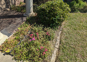 PXL-20230305-163544141