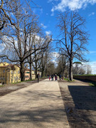 photo 2026 02 15 16 20 10