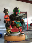 IMG-8284