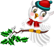 Christmas-in-Forest14