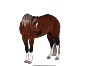 D14164DD-4CAD-420C-B63F-703AA69F637D