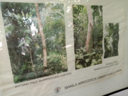 Arroceros-Forest-Park-Manila-Bagras20260715-142200