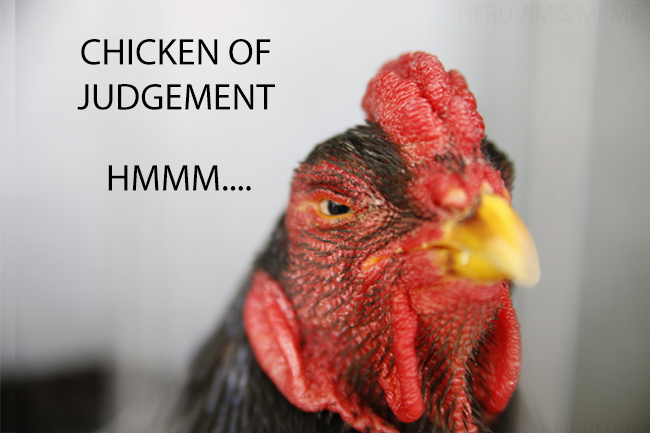 JUDGEMENT.jpg