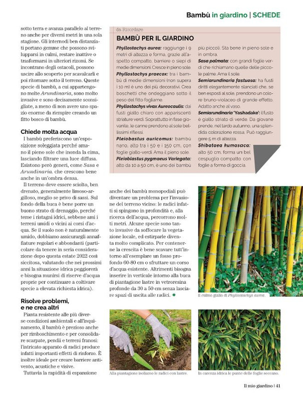 Il Mio Giar Ott-Nov 2022 (8)