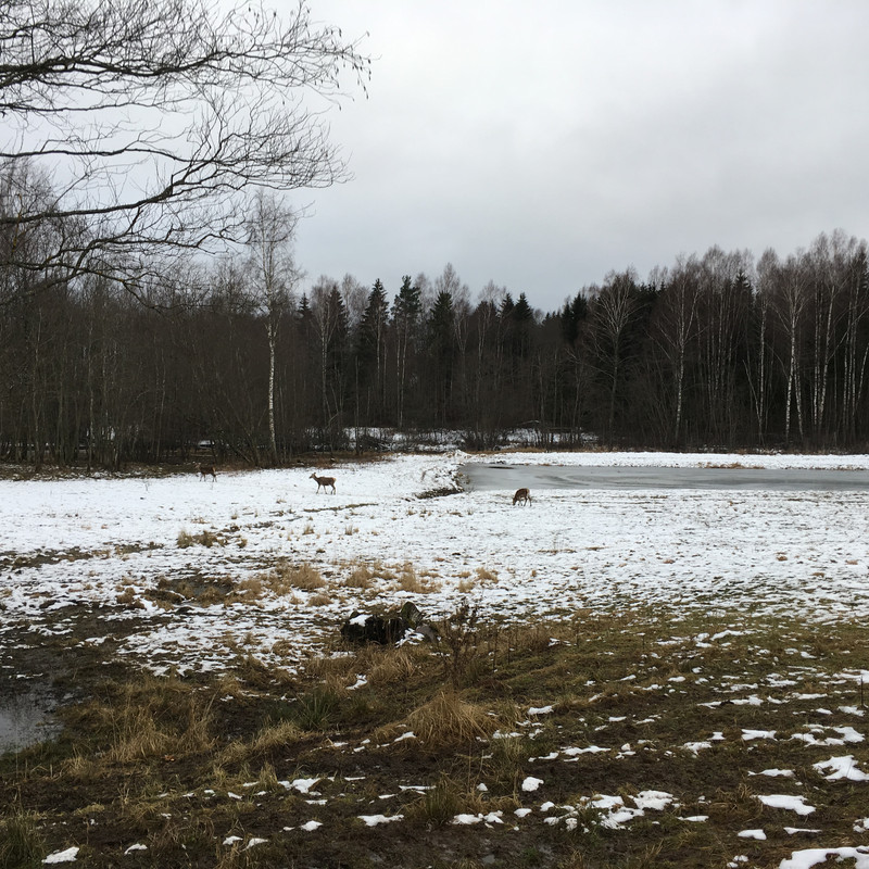 3C89FF89-C148-4B34-AD89-328FEB5592A0