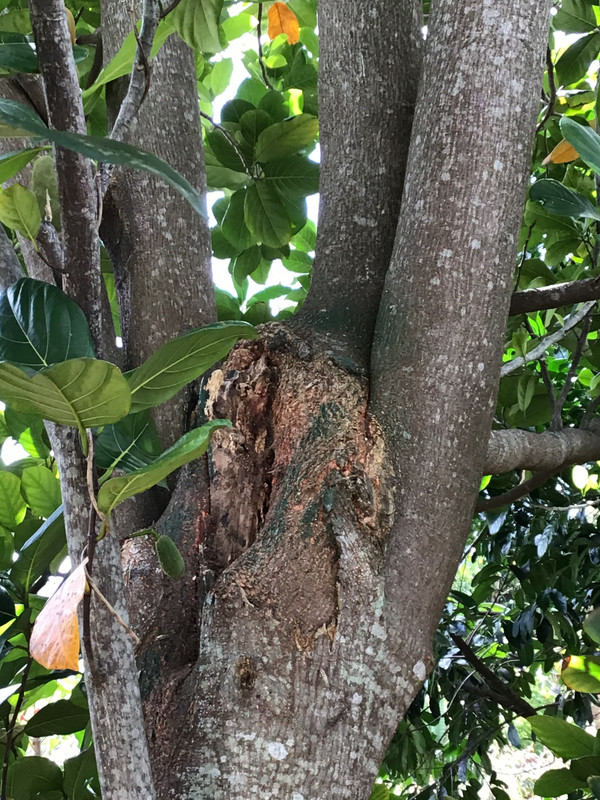 32B421CD-0A5E-4CE7-ADC1-206E1D9D0D31