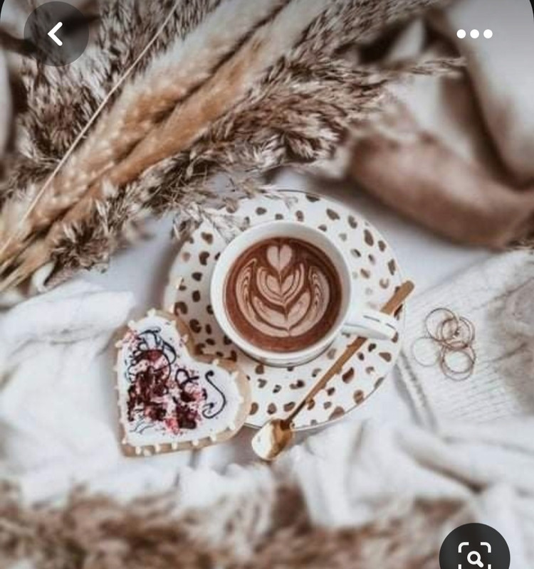 Screenshot_20230622_004440_Pinterest