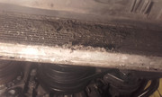 20190503-125438.jpg