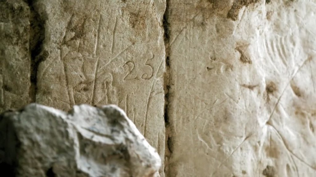 [Image: d5yqr19wxcm3.jpg]