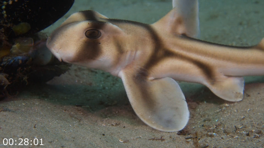 [Image: hey4c8mn7ca7.png]