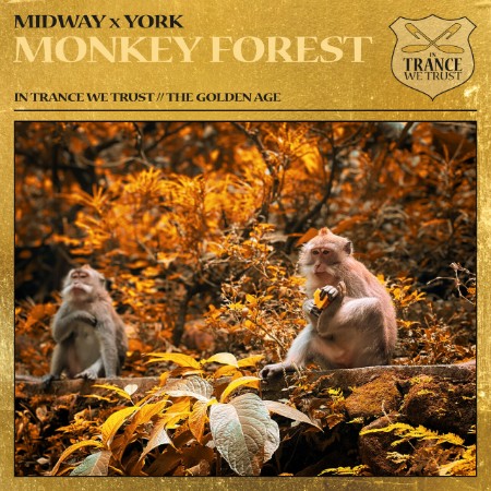 Midway & York - Monkey Forest (2025)