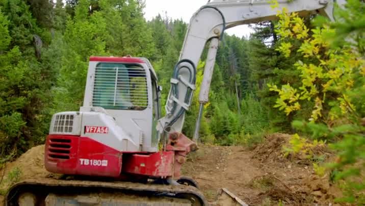 [Image: do1e7g5yunq6.jpg]