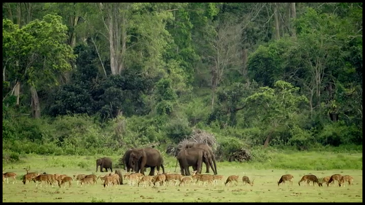 [Image: b2by4jtveb79.png]