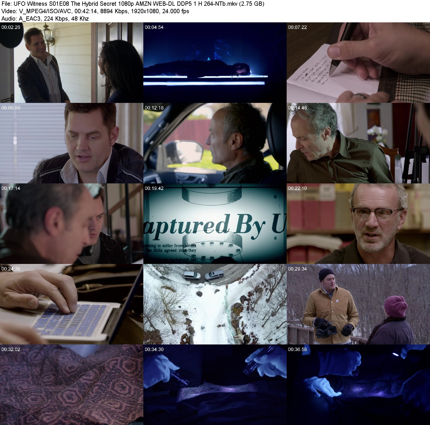 [Image: 8tqopxk9ja64.jpg]