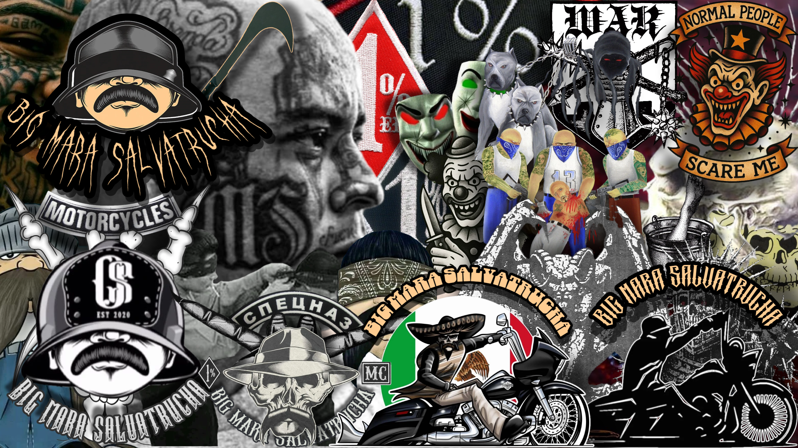 Design-Studio-2025-08-26-1.png