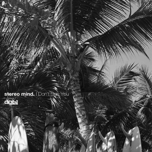 Stereo Mind - I Don't See You (2026)