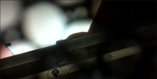 [Image: Voyeur19855095601.jpg]