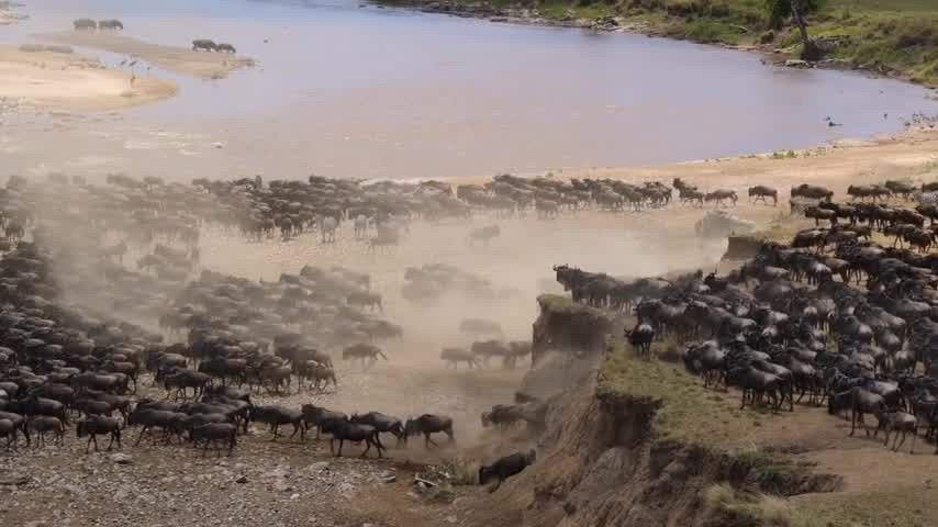 [Image: q2hzu98ofs7x.jpg]