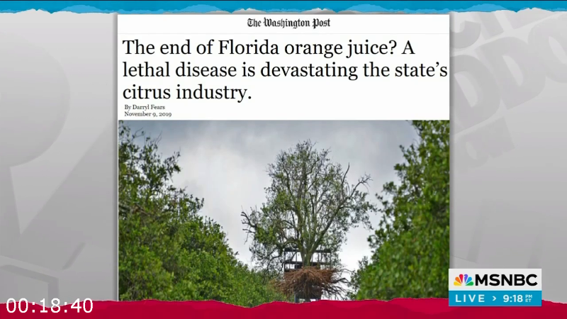 [Image: zbh9ub3p1k2v.png]