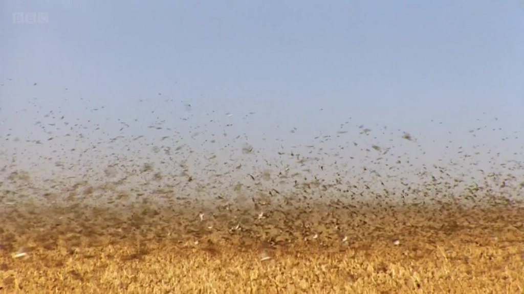 [Image: xwxw8k088gyl.jpg]