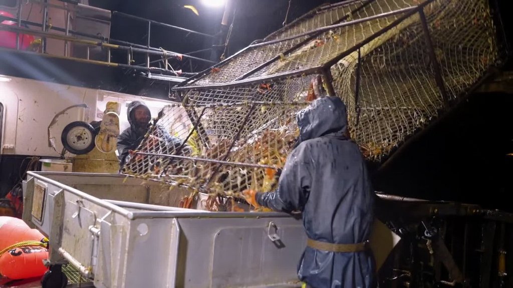 [Image: sdb73ncy7b8o.jpg]