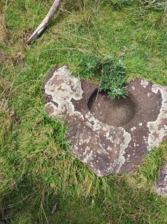 Poike:Ahu Kiri Reva-Papa u'i hetu'u-Ana o Keke-Té Ahu Moai Tea-Maunga - Isla de Pascua - Chile (20)