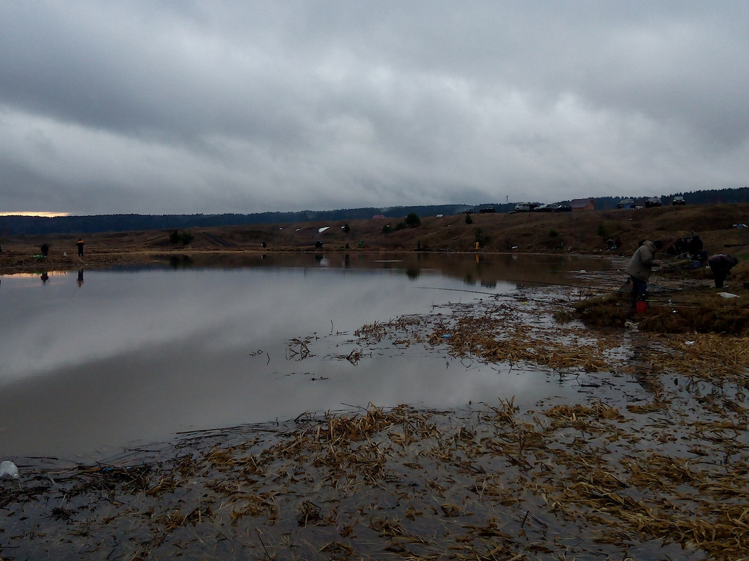 Серьга 24.04.16 02