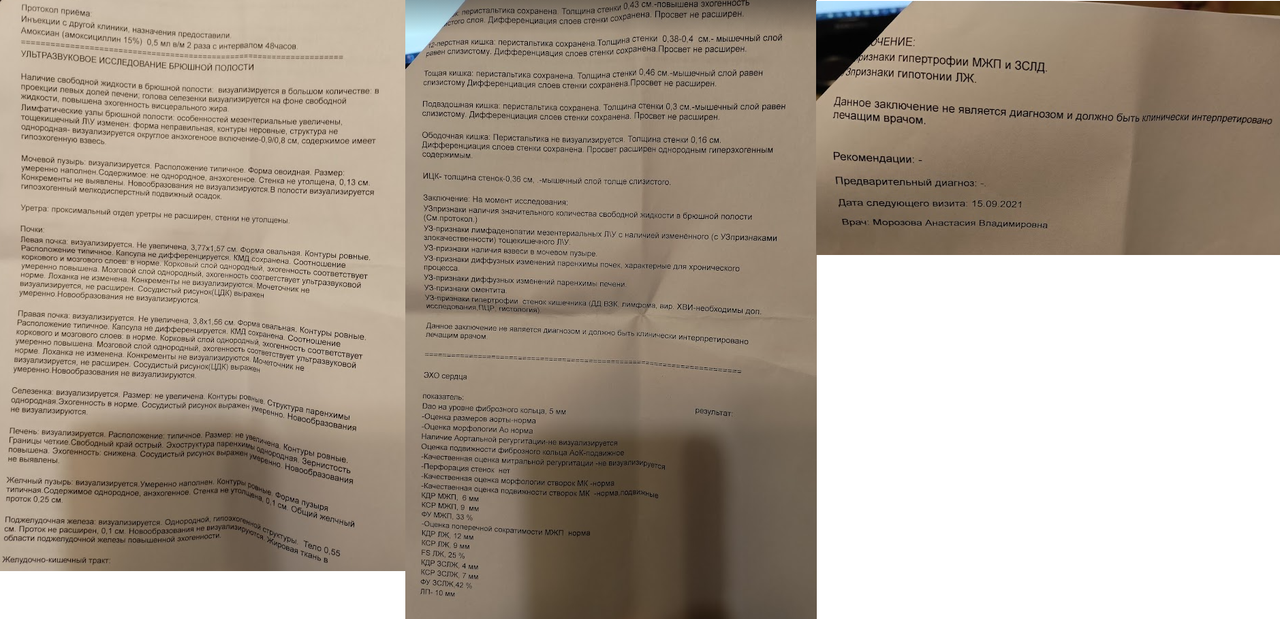 УЗИ_15_09_2021