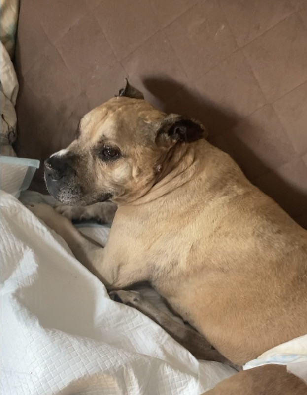 E7086D3F-3AFC-49A7-BA21-2670F42759B9