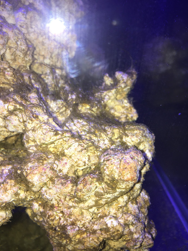 FE957E96-6F17-4553-95E7-608E22DA9F05