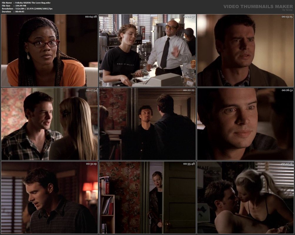 Felicity S02E06 The Love Bug.mkv