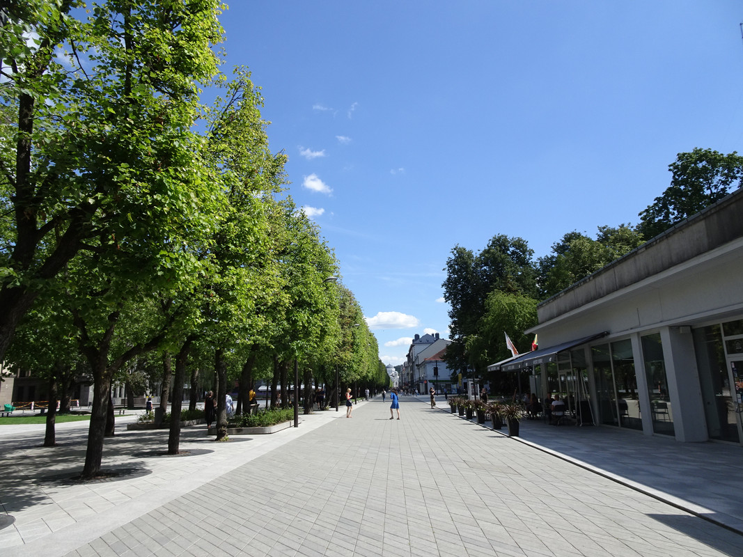 [Obrazek: DSC09684.jpg]