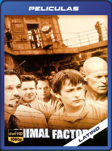 Fábrica de Animales (2000) Latino HD [1080P] [GD] [MG]