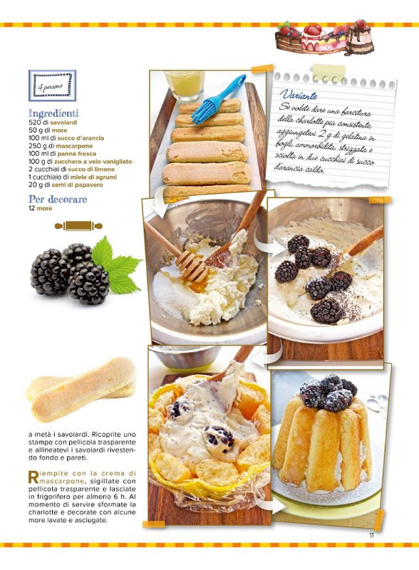 Tor D No Set 2025 (2)