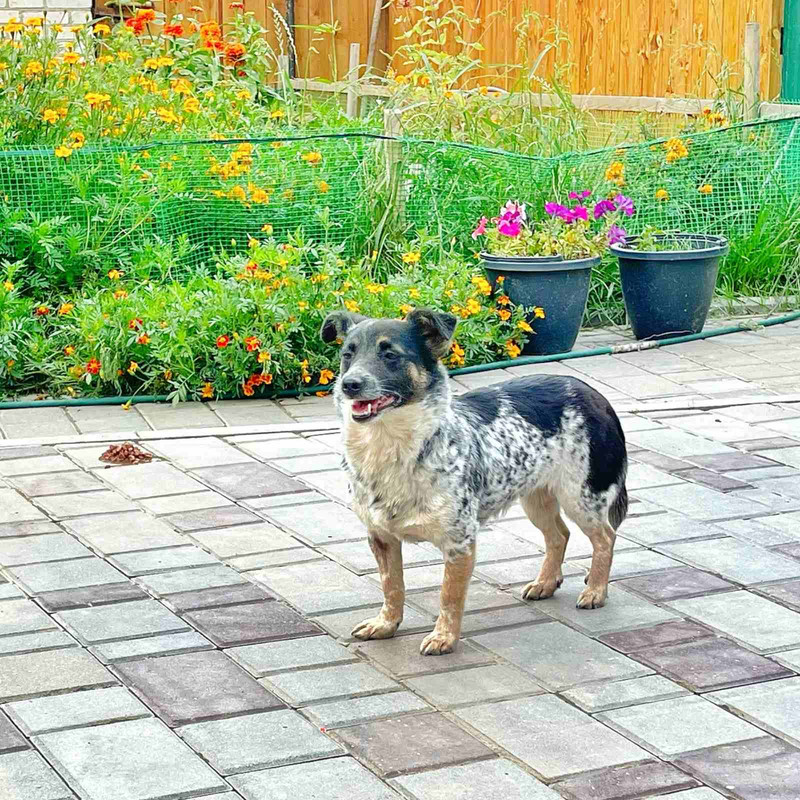 CEC36CBA-2836-49A4-A531-BA56177B6327