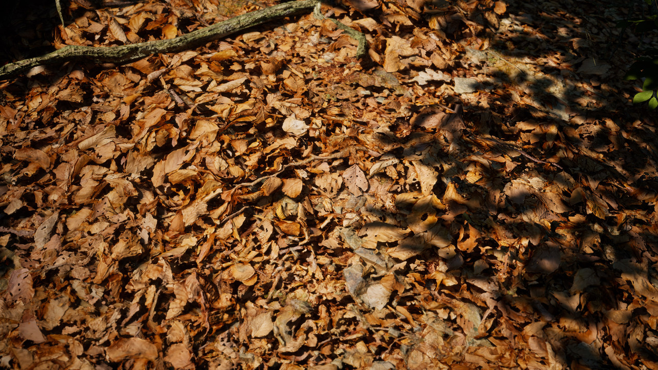 UnrealGame_2023_11_29_02_47_20_249