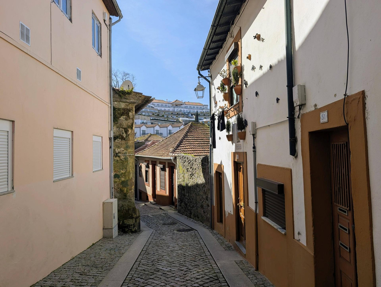 643447914 25585573634475599 969568319143746397 n