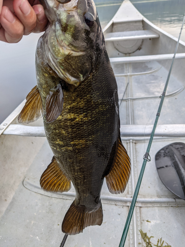 PXL_20210807_103241816.MP