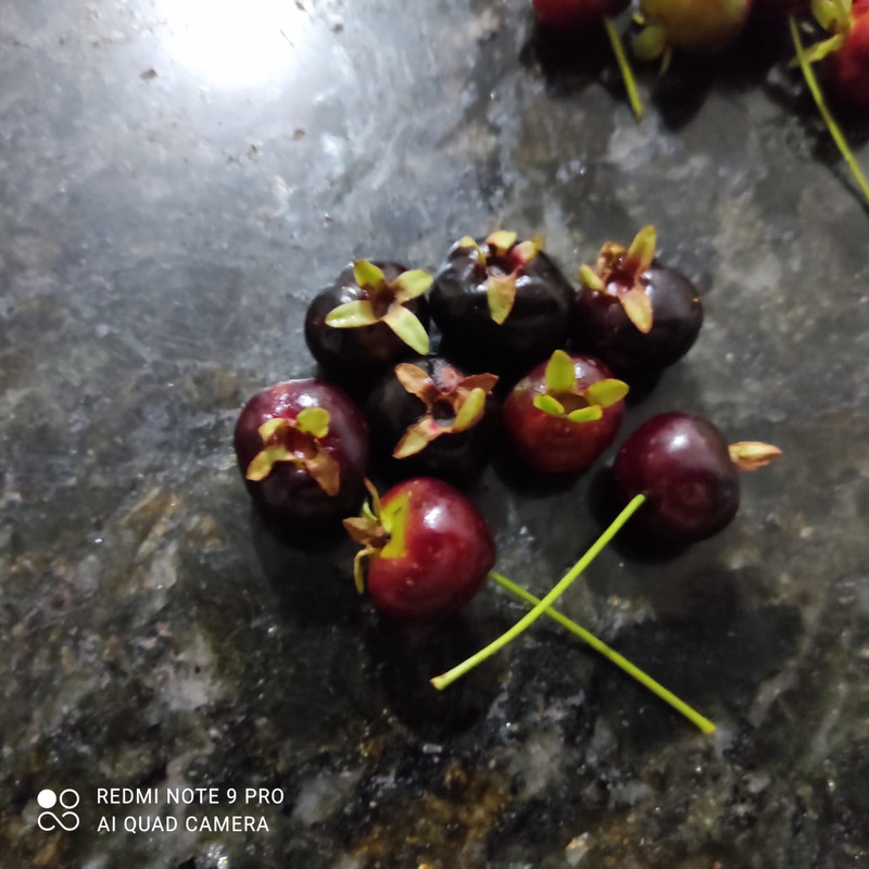 WhatsApp Image 2020-12-20 at 13.41.20 (12)